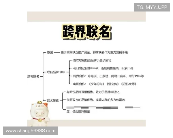 深圳篮球队战术解析与球队发展策略深度探讨